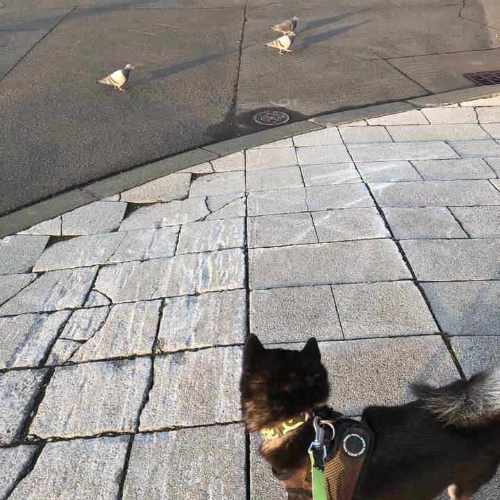 F3df3d04 9aee 42d9 a708 f30e516e4d30 1523568046620