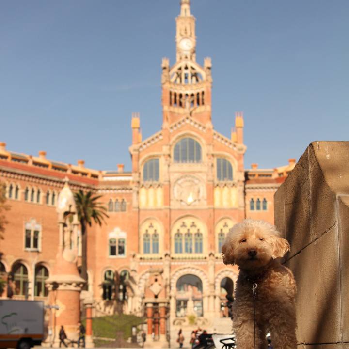 F3df5e21 f242 4390 bb51 c65aca1d0da4 1512050131780