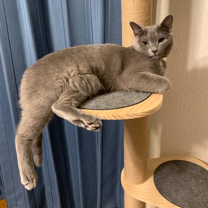 F3df8998 70e0 4eba 9768 903979f556eb 1601990102990