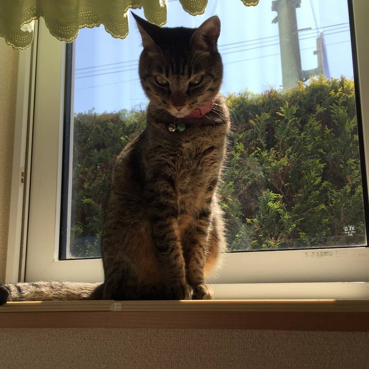 F3dfb00b 0760 4a3b 8b33 1901025afaaf 1526882454959