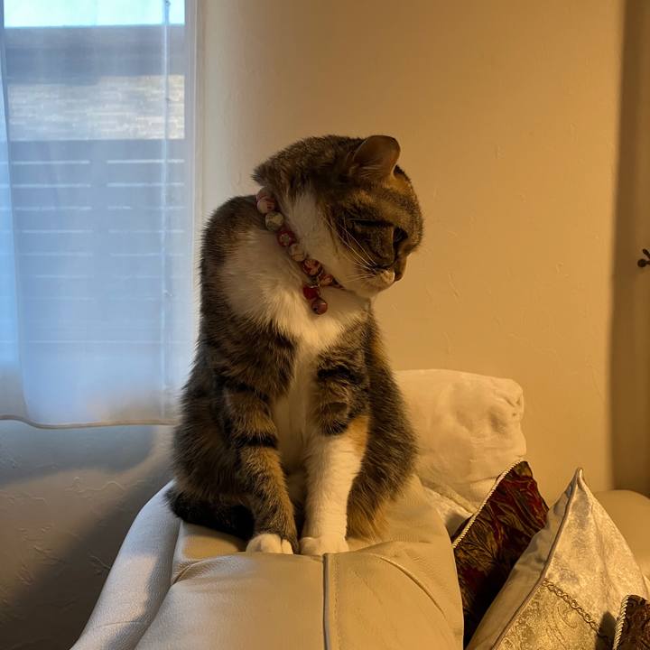 F3dfc49f 113f 4ffb 8695 817e4b473ae9 1768604020752