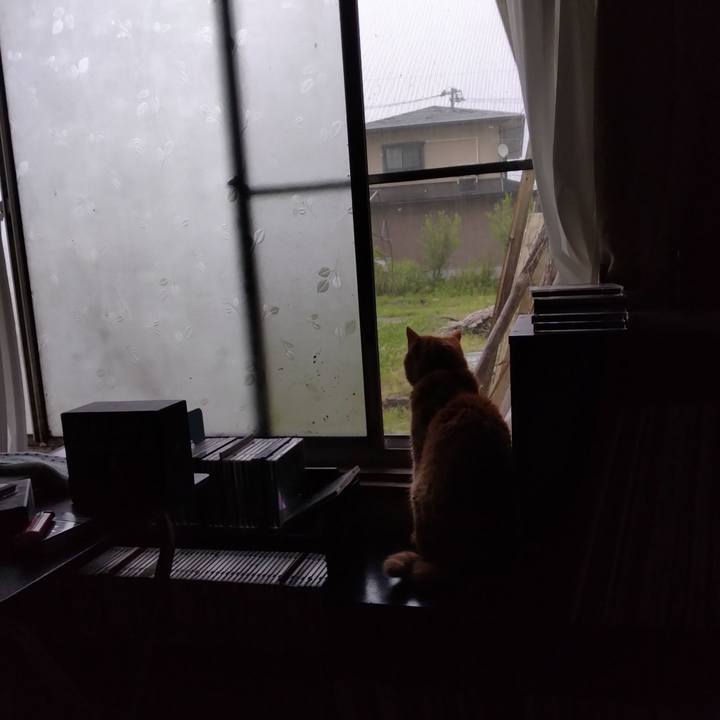 F3dfe35d 8f67 479c bd64 fa32390eac77 1687907423861