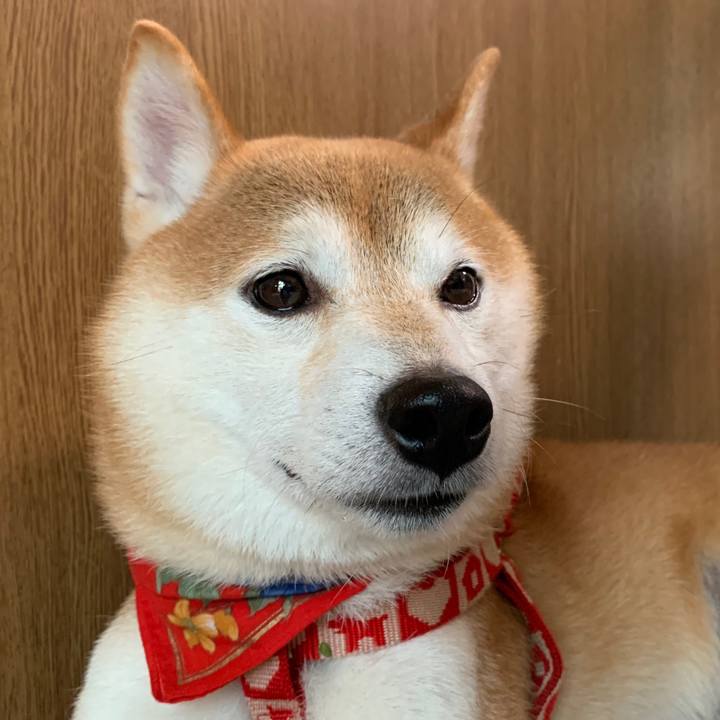 F3e02fb7 11a7 4441 8de0 73517b872fc7 1602675580390