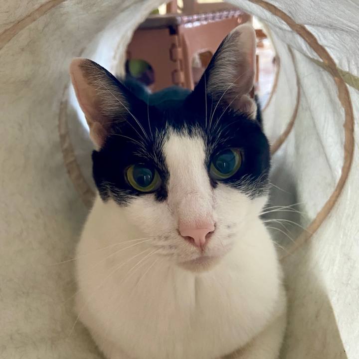 F3e0440d 71e5 4e66 95d2 4826e763282b 1758984581533