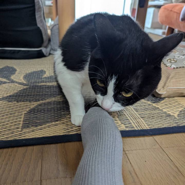 F3e04816 d763 49e9 a0ae 539d8926395d 1719207192651