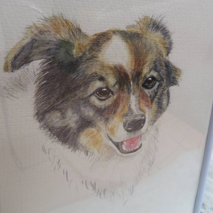 F3e059ae 51fe 4ea3 93c2 90c3873a5e12 1637754510138