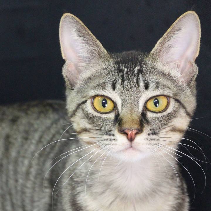 F3e06383 f96e 4476 9546 763f2bd27010 1705380745567