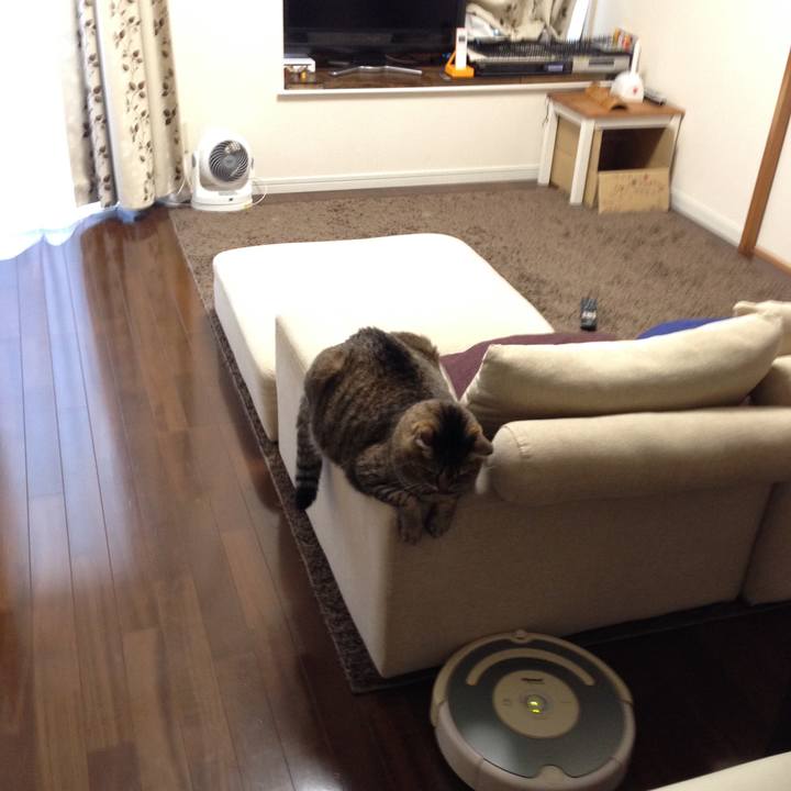 F3e08fa6 6973 4603 8605 fa6d42763e77 1594191937729