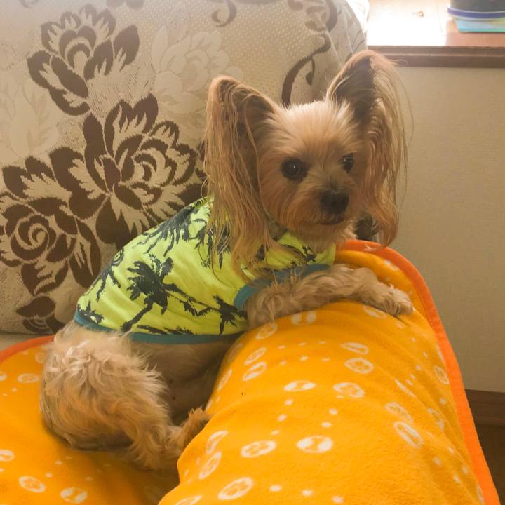 F3e0b472 9349 4d7d 9bea f55ca203e87f 1575281707894