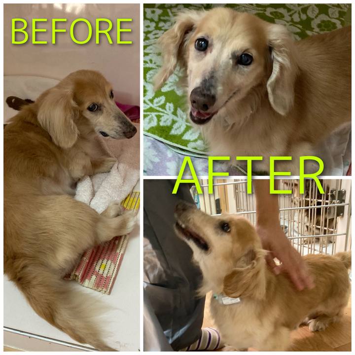 F3e10d00 d249 4c23 ba7b 0ab2d3e3da16 1626999890667