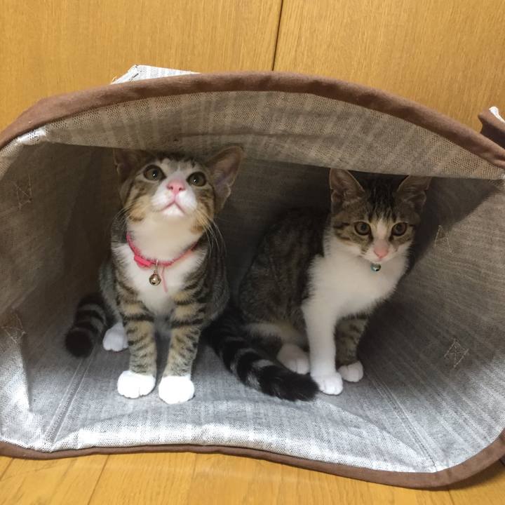 F3e10f5b e6d5 49d4 a1cc b72a7d70f8ff 1656584762774