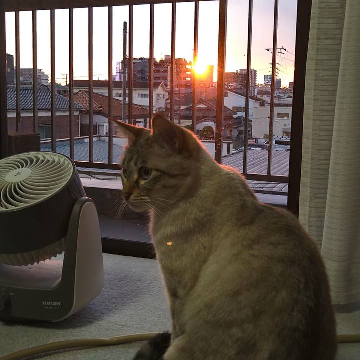 F3e13a1d 1132 44e5 84c5 9f38a8617f30 1612684484366