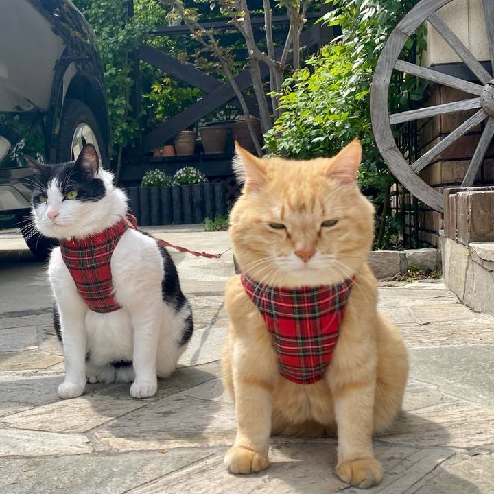 F3e172c0 9ef8 439b 87ea 2dbc18c6cf97 1745813380272