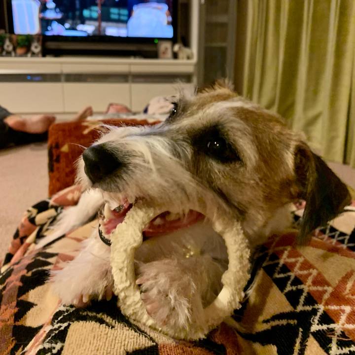 F3e1a1a9 544f 4b6d b16c ccf6df0b5414 1603888982441