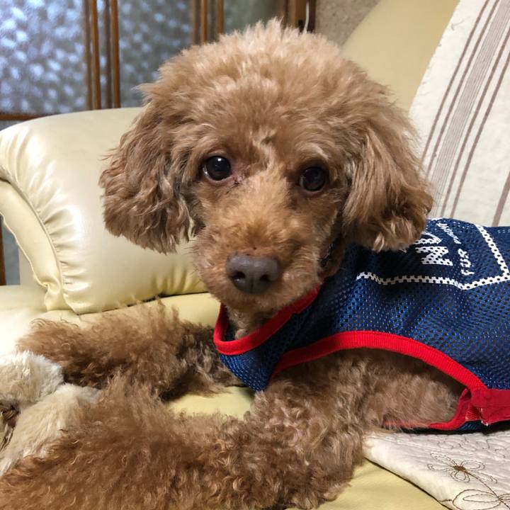 F3e1ab8a 5dc2 4157 9705 d4b3b9c0c7e4 1597463944821