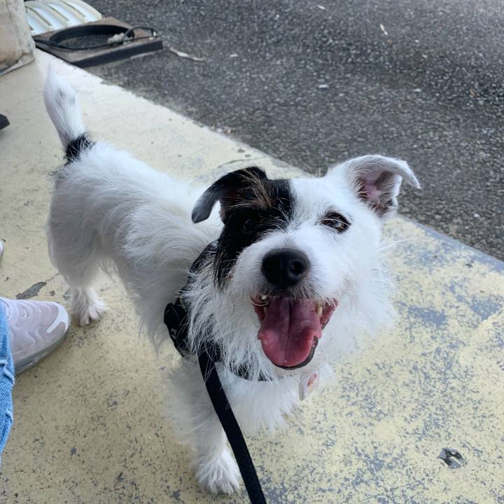 F3e1e312 3e27 48a2 9af4 490bfa5c81ca 1632389838857