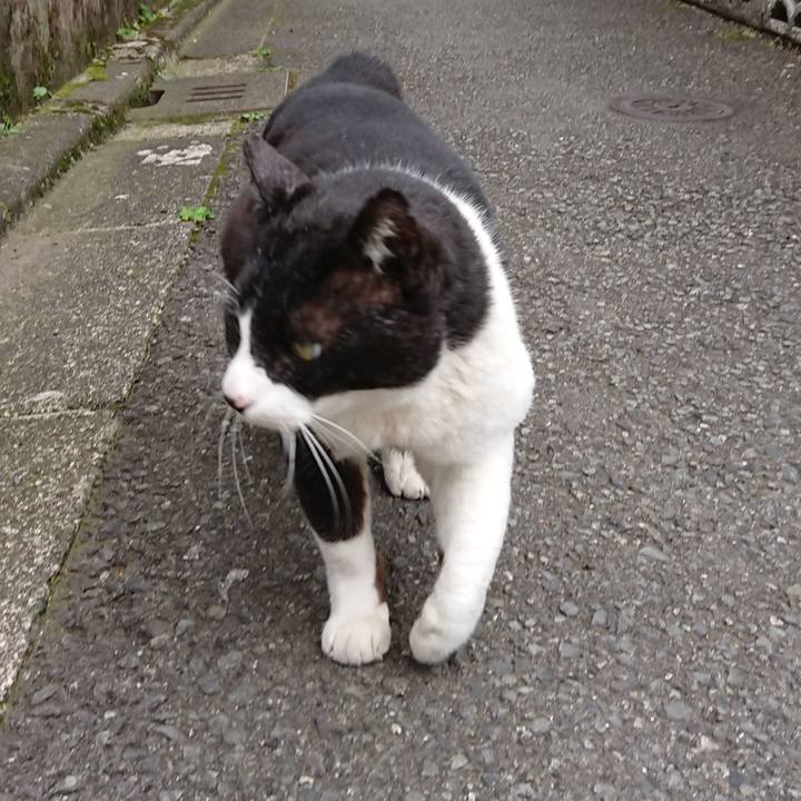 F3e206e1 1782 4f2b b9d0 702ca160bceb 1588986203658