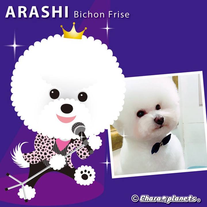 F3e21cf5 5128 4d61 b925 687378db7e95 1559364204613