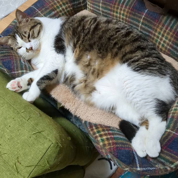 F3e2427f d298 4e70 923b 1aa0b267d79d 1696321468775