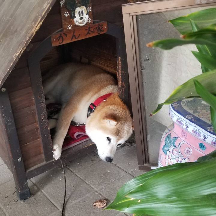 F3e260dd cbec 475e 94b9 f1ceecaeaf66 1721437201883