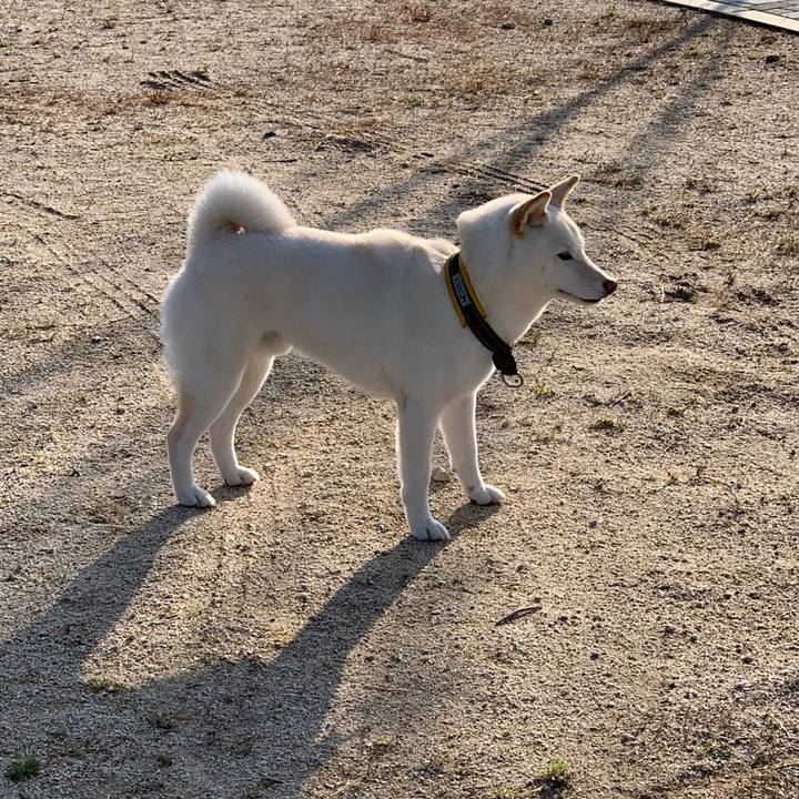 F3e26cb9 4715 4cf2 b7ca 4275931a7a6a 1555716767334