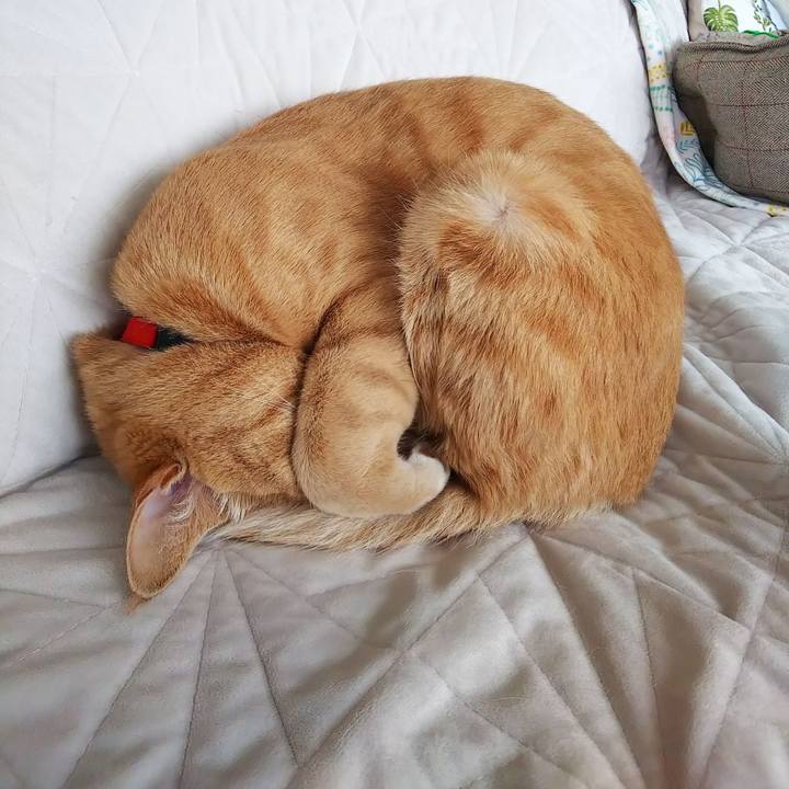 F3e2779f 3be8 4991 812f a0b76f40399e 1572836964484