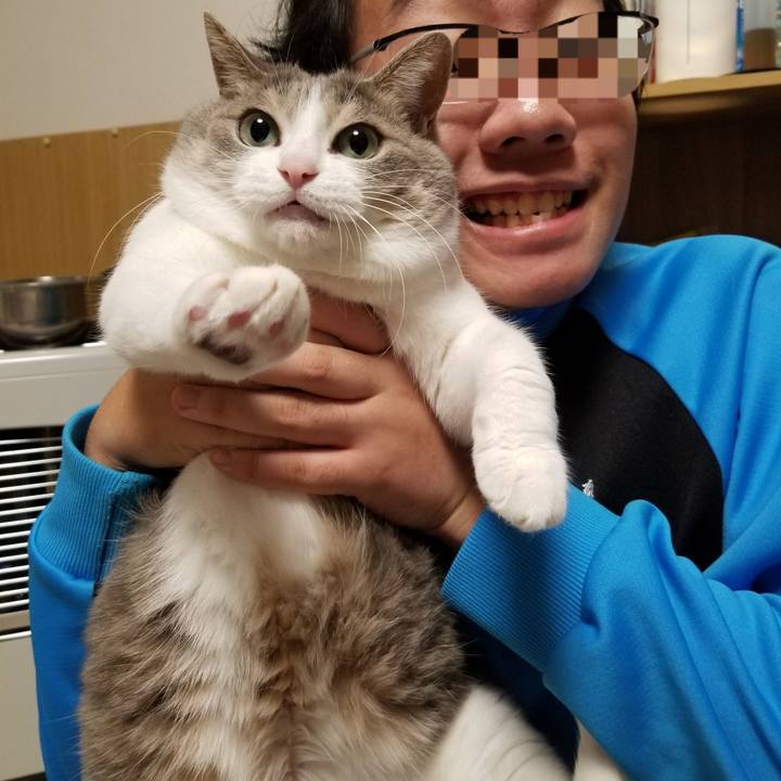 F3e2933f 2d4a 4fbb 9898 9629cc52a580 1668179414640