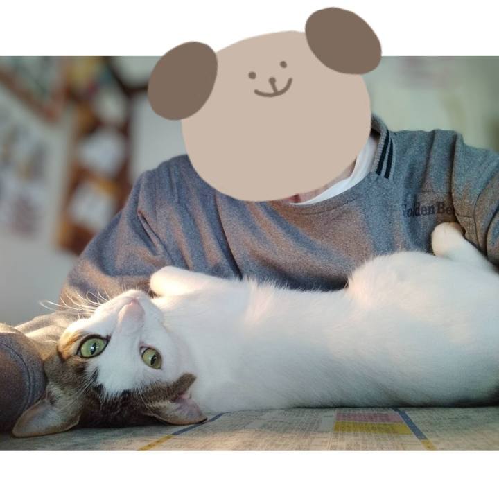 F3e29610 590d 48e1 ae52 e112df23bae3 1711808065793