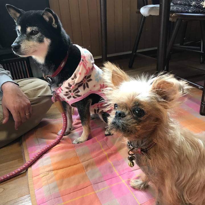 F3e2c0f4 a86b 402c bf48 10619920106b 1543042333602