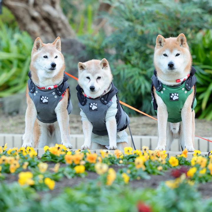 F3e2c3ea cc3e 493c 9ae5 2d4d155eff6b 1768323125685