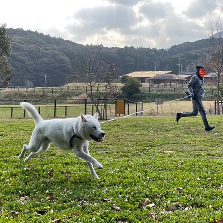 F3e2e082 86b6 4766 810a 2bf74912f444 1611973841761