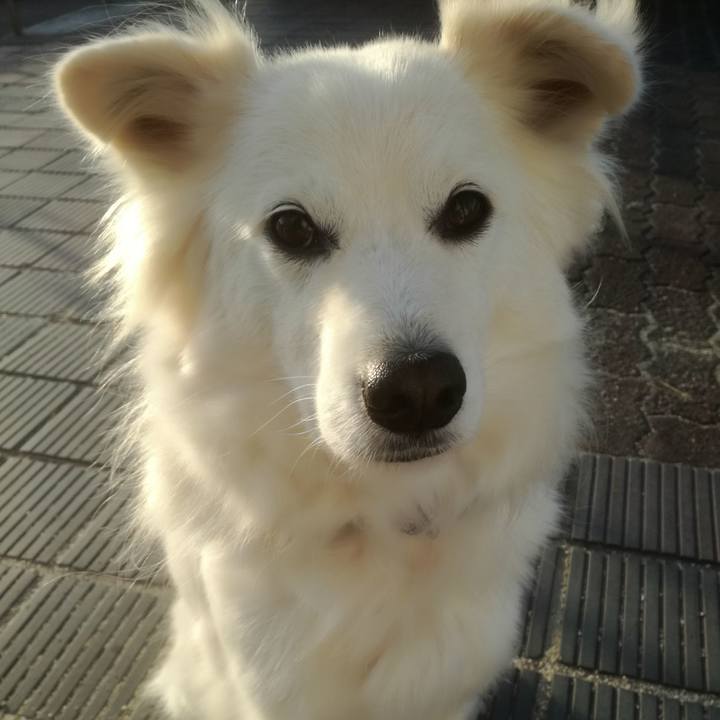 F3e2e9cd b8eb 4b70 9a74 51d1dc123b6f 1517379018088