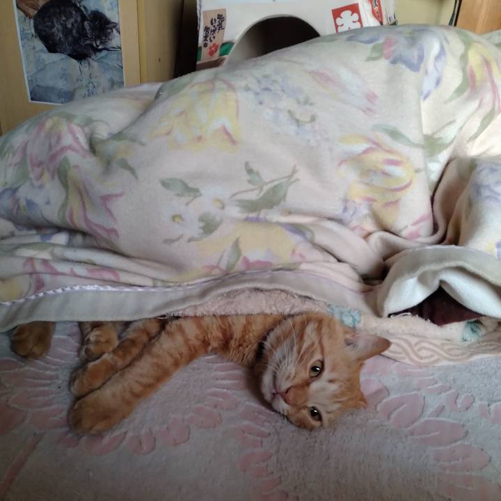 F3e2f40f 1b3d 4976 aacd 19b2ead2d8d4 1682288590405