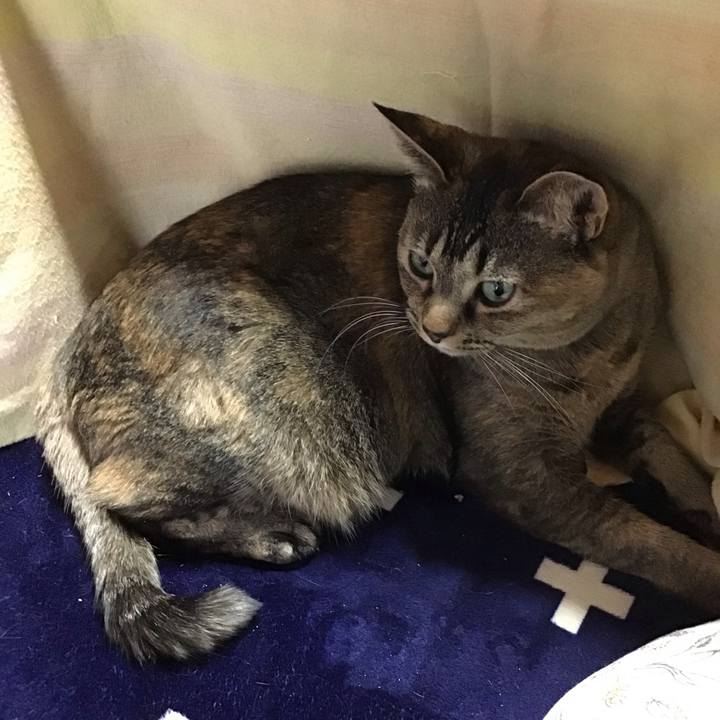 F3e34cfe 2a16 448b 9c66 b4d9e974528e 1708158158283