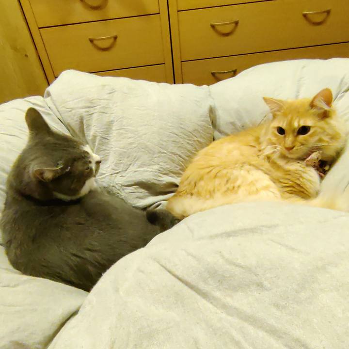 F3e3752d eed4 4b0e b758 80973767751e 1666346773776