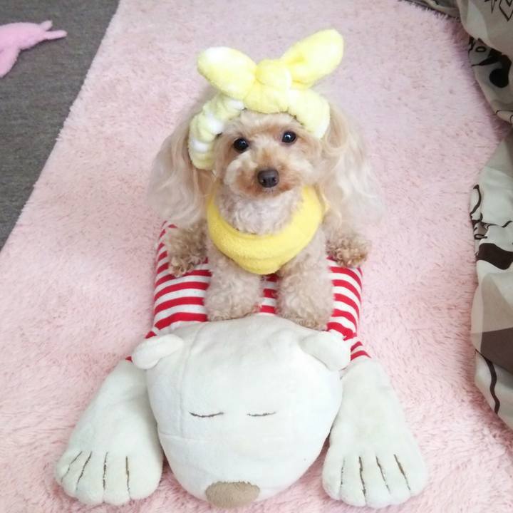 F3e3ab94 2519 4a77 b6a8 45477c948374 1542282325472