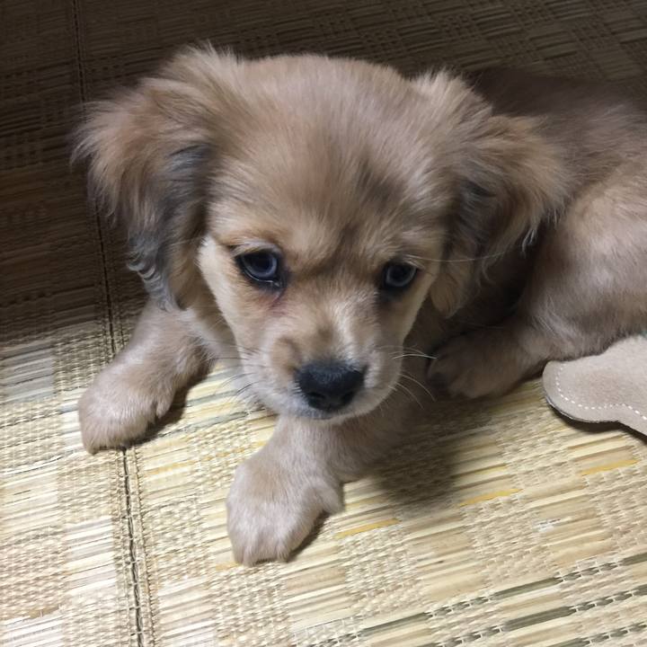 F3e3b5d2 6c7b 41bb a0df 56e55e1a1c52 1513426481181