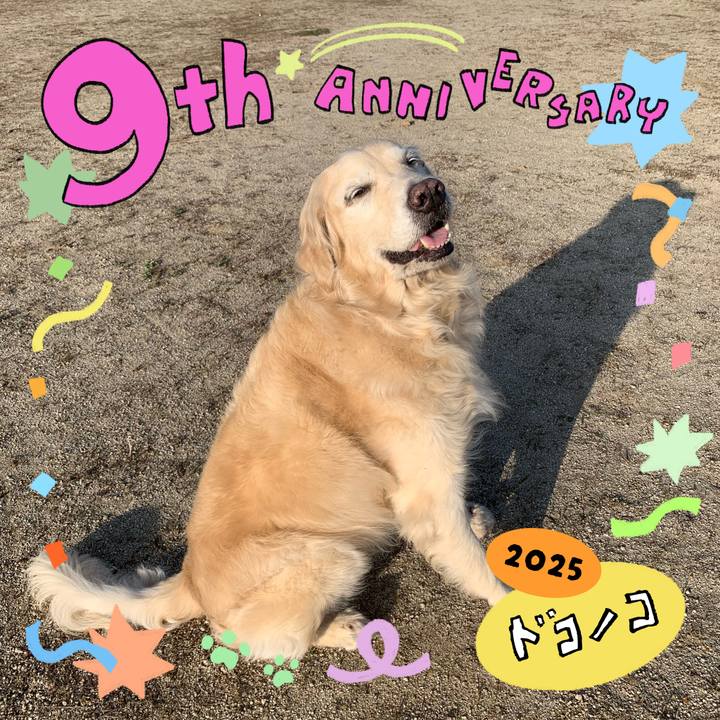 F3e3dd81 12b9 4ef9 8e4e 713ed4b41cc9 1749090506722