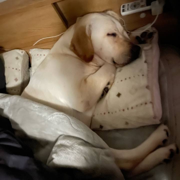 F3e3e942 e54f 4027 85f6 82f66ecd2bff 1645405791774