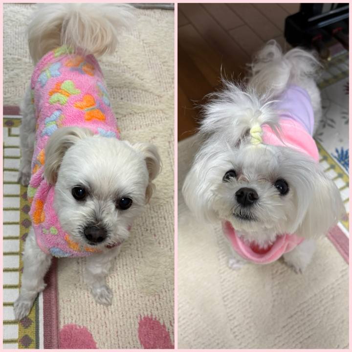 F3e3f47d 95a7 41e7 939f cfda93803a93 1741164823666