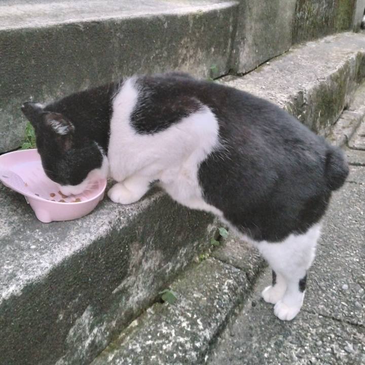 F3e40c68 3714 43bc b8b0 8263f97fee53 1700574227189