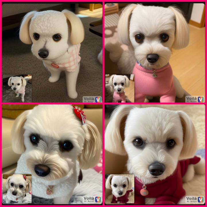 F3e454f8 54f3 41a1 95a2 a5a8240e5af0 1674474128306