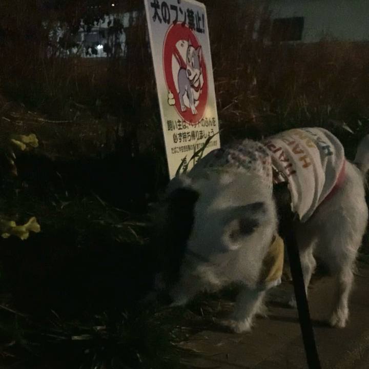 F3e4683d add3 468d 8bf4 3edc44b15d6e 1646657515817