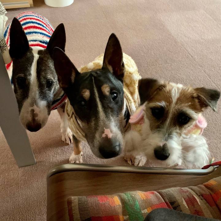 F3e48d00 ec31 428f 8fbf f7d0ee6b292a 1605049129722