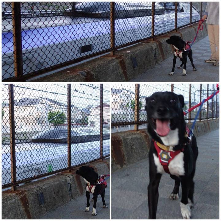 F3e4a2b1 799e 4d87 834a bc32dac98284 1588424163805