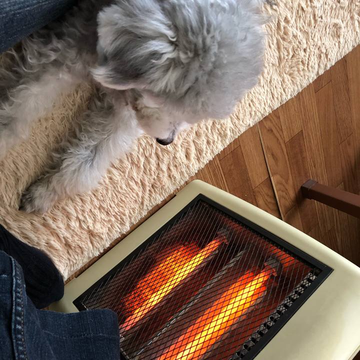 F3e4bb38 1aa9 430f a82a 94feffe4db30 1578271432385