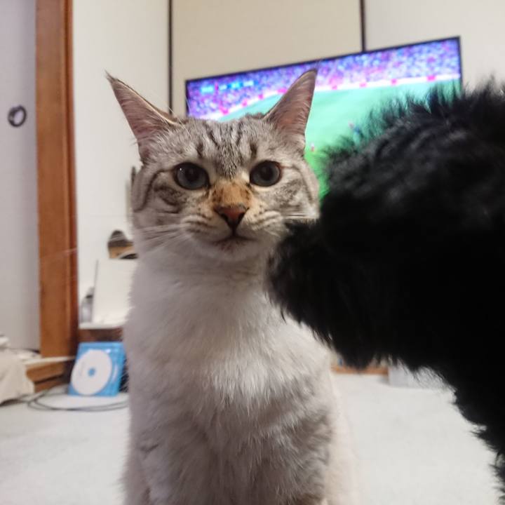 F3e4be0e 5575 4222 a1c1 6f72d48594ad 1565860504679