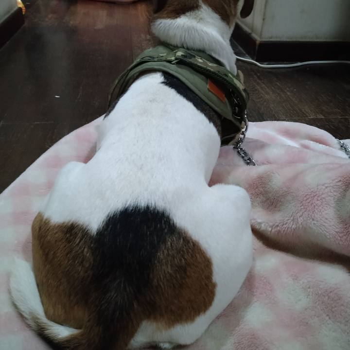 F3e4bec5 d562 447c 91f8 93a93bd6ac2c 1666759525781