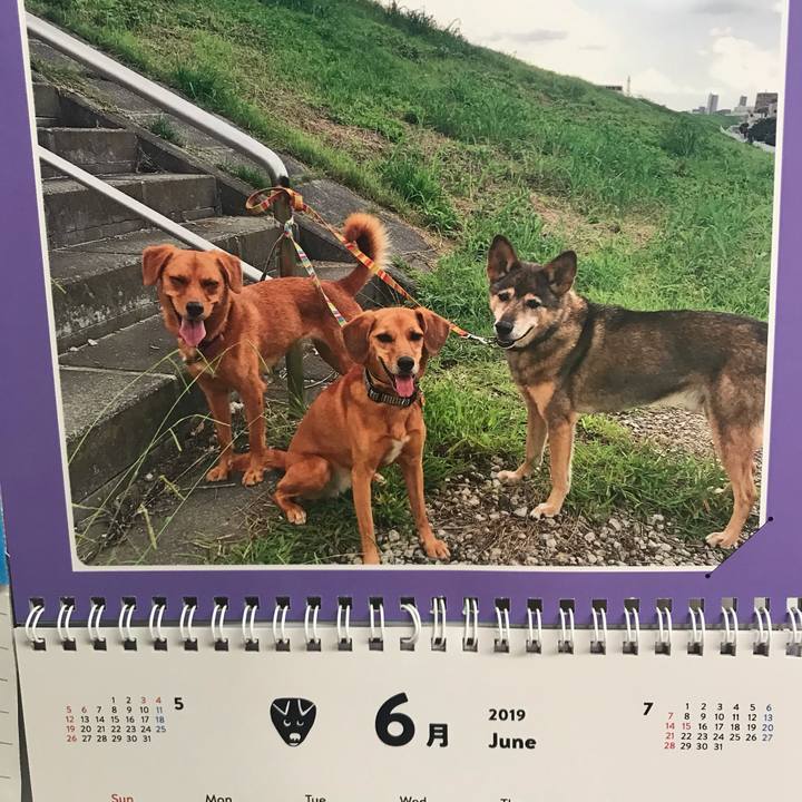 F3e4de59 7634 4654 816a b5f8db4f2667 1559387670196