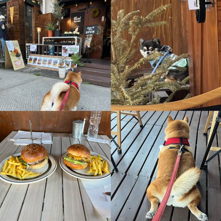 F3e4ec94 0ffa 4eda bdf4 5b59e3e5d115 1649407330739